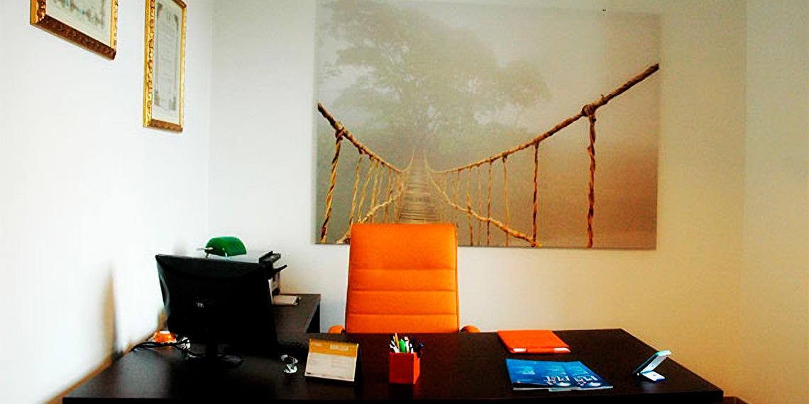 Attività dello Studio